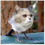 stanley_blender's Avatar