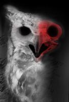 Pleasant Nightmares's Avatar