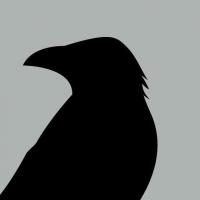 brandonmfisher's Avatar