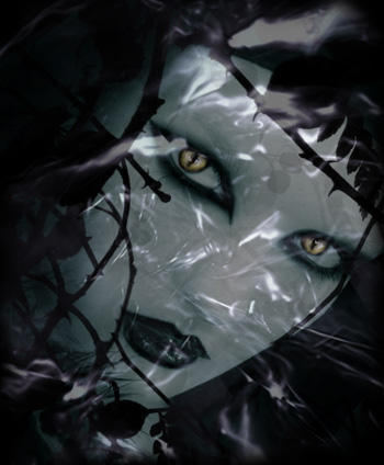 dracula 15