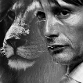 HanLion avie

"When the lion is in the room, you will know."

Except he didn't.
