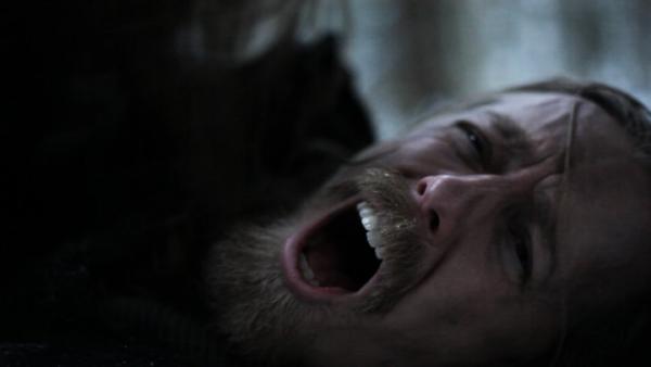 The great dying 3